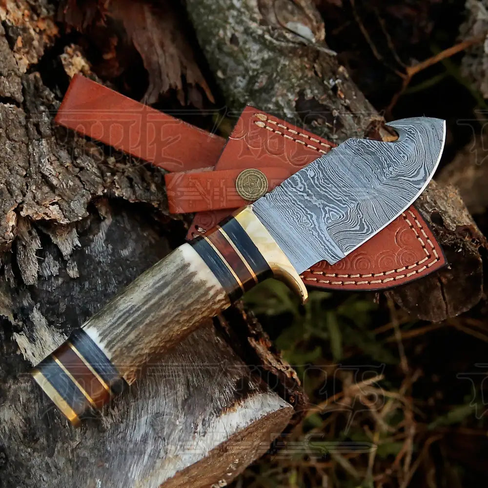 Handmade Damascus Steel Gut Hook Hunting Knife With Stag Handle Wh 3738