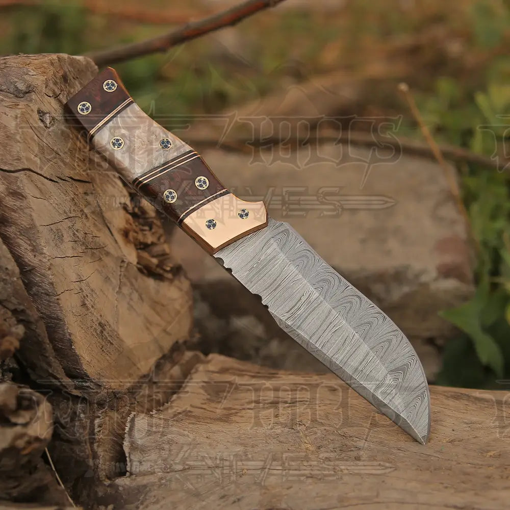 Handmade Damascus Steel Hunting Knife Edc 10 Skinner With Wood & Resin Handle