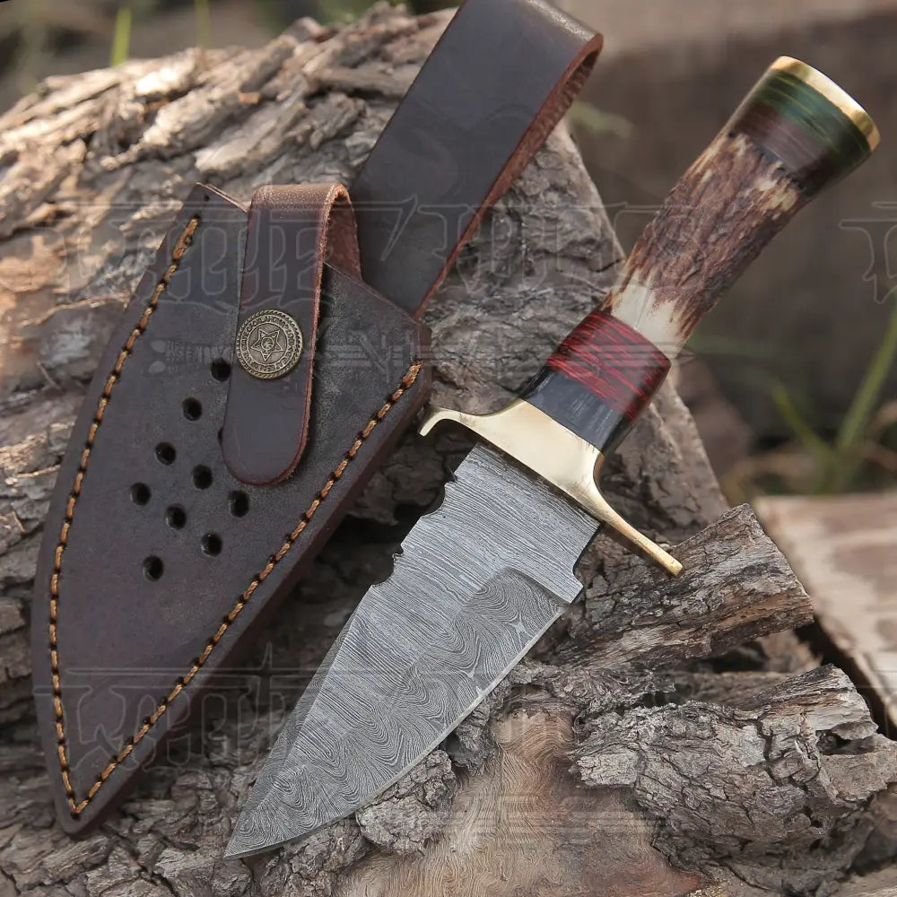 Handmade Damascus Steel Hunting Knife Stag Handle & Brass Bolsters With Leather Sheath