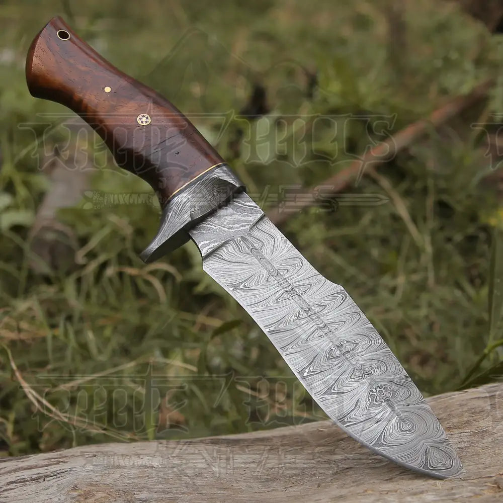 Handmade Damascus Steel Hunting Knife With Rose Wood Handle Skinner