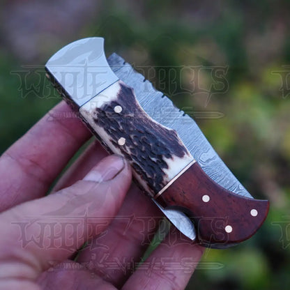 Handmade Damascus Steel Hunting Pocket Folding Knife With Clip - Camping Blade With Stag & Wood