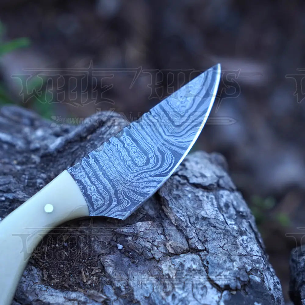 Handmade Damascus Steel Knife - Camel Bone Handle 5’ Full Tang Hunting & Camping Sk - 032 Skinner