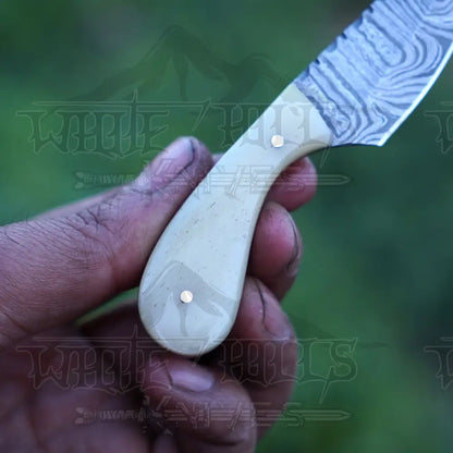 Handmade Damascus Steel Knife - Camel Bone Handle 5’ Full Tang Hunting & Camping Sk - 032 Skinner