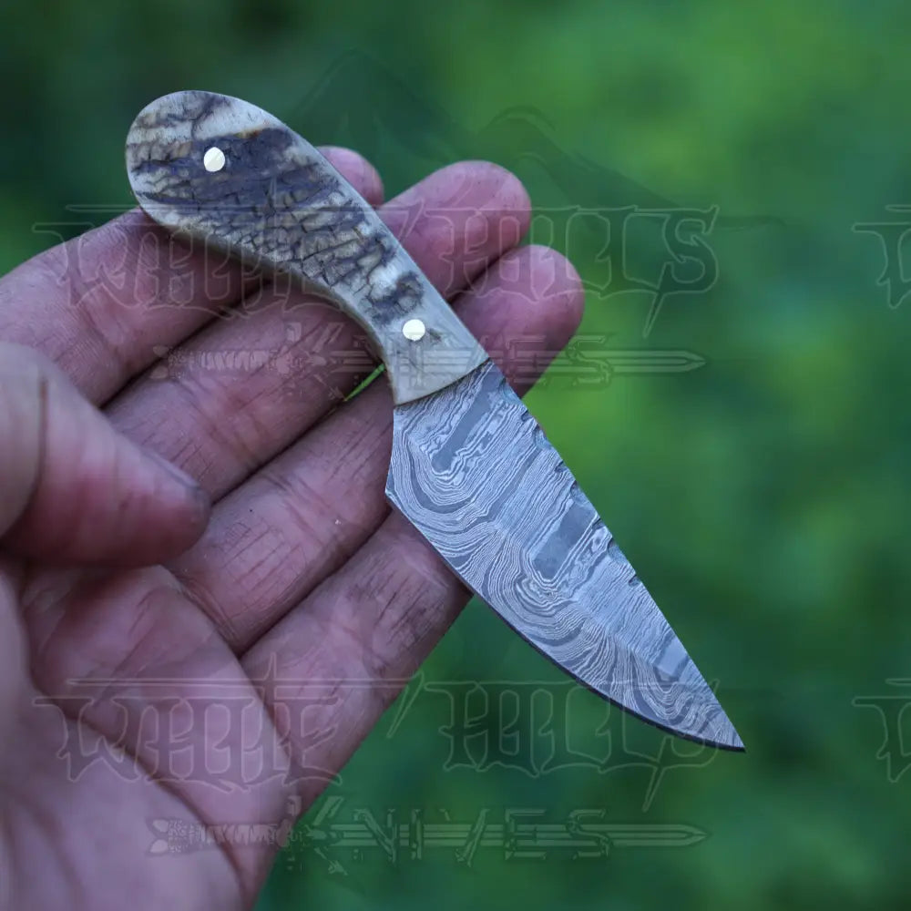 Handmade Damascus Steel Knife - Ram Horn Handle 5’ Full Tang Hunting & Camping Sk - 030 Skinner