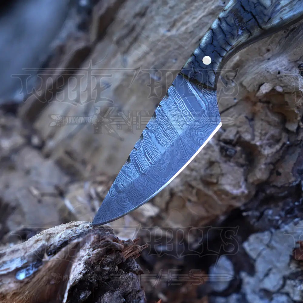 Handmade Damascus Steel Knife - Ram Horn Handle 5’ Full Tang Hunting & Camping Sk - 030 Skinner