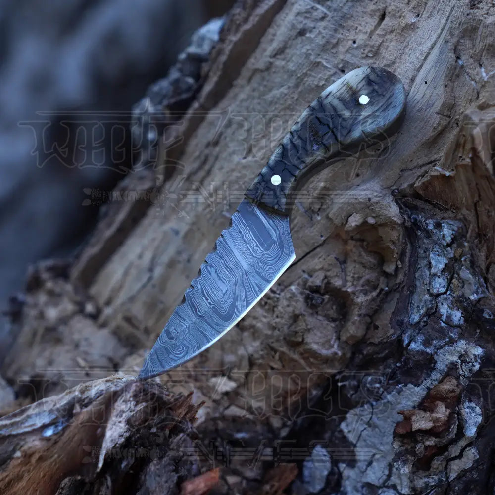 Handmade Damascus Steel Knife - Ram Horn Handle 5’ Full Tang Hunting & Camping Sk - 030 Skinner