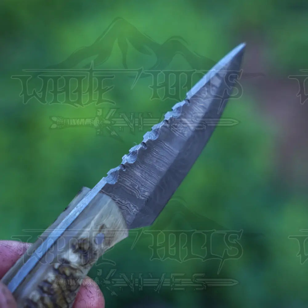 Handmade Damascus Steel Knife - Ram Horn Handle 5’ Full Tang Hunting & Camping Sk - 030 Skinner
