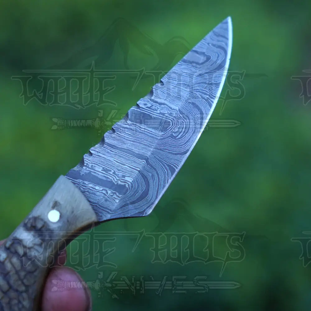 Handmade Damascus Steel Knife - Ram Horn Handle 5’ Full Tang Hunting & Camping Sk - 030 Skinner