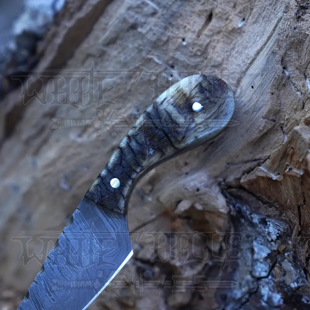 Handmade Damascus Steel Knife - Ram Horn Handle 5’ Full Tang Hunting & Camping Sk - 030 Skinner
