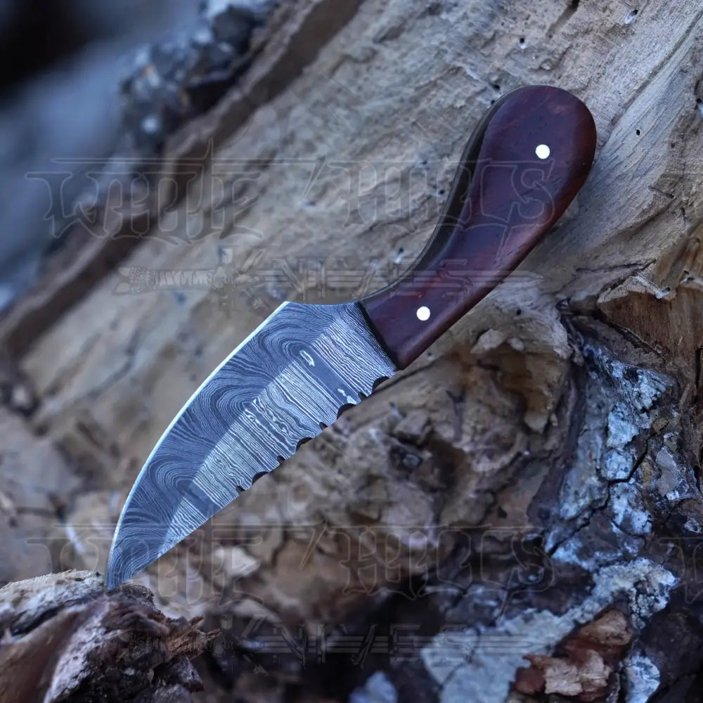 Handmade Damascus Steel Knife - Rosewood Handle 5’ Full Tang Hunting & Camping Sk - 033 Skinner