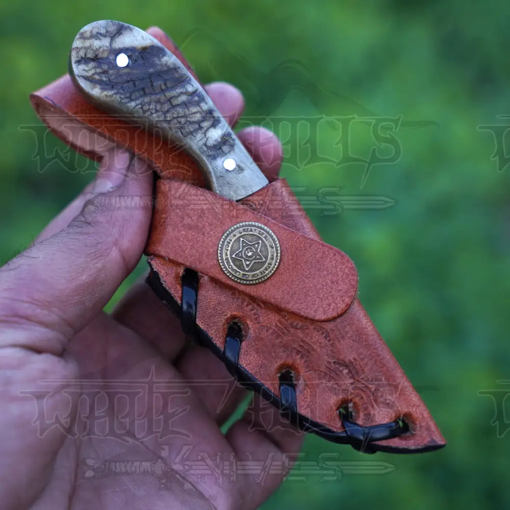 Handmade Damascus Steel Knife - Stag Antler Handle 5’ Full Tang Hunting & Camping Sk - 031 Skinner