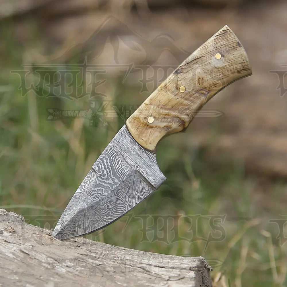 Handmade Damascus Steel Skinner Knife - Ram Horn Handle 5.5’ Full Tang