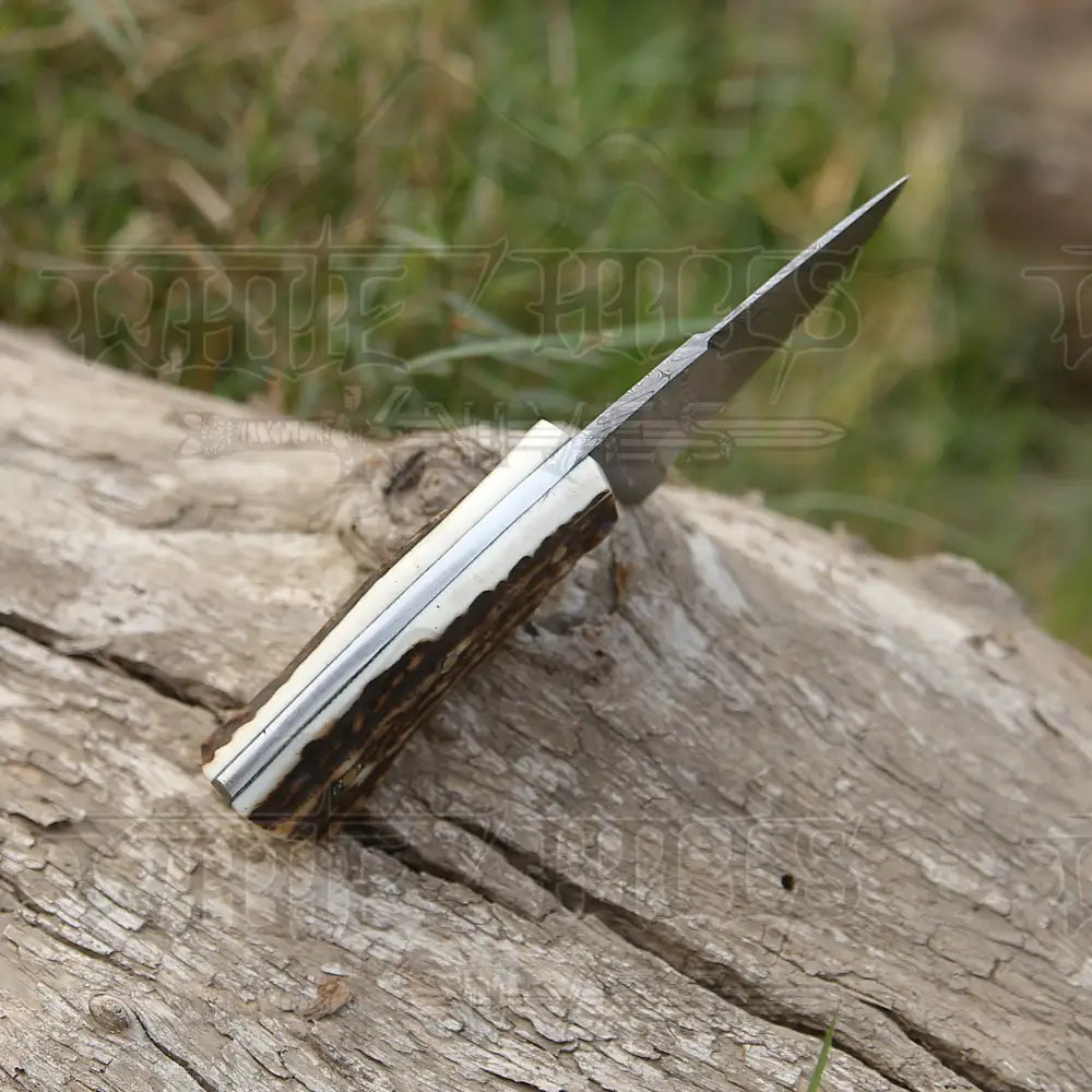 Handmade Damascus Steel Skinner Knife - Stag Antler Handle 5.5’ Full Tang