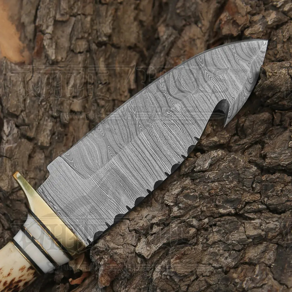 Handmade Forged Damascus Steel Gut Hook Hunting Knife Edc With Orginal Stag Antler Handle Wh 4340