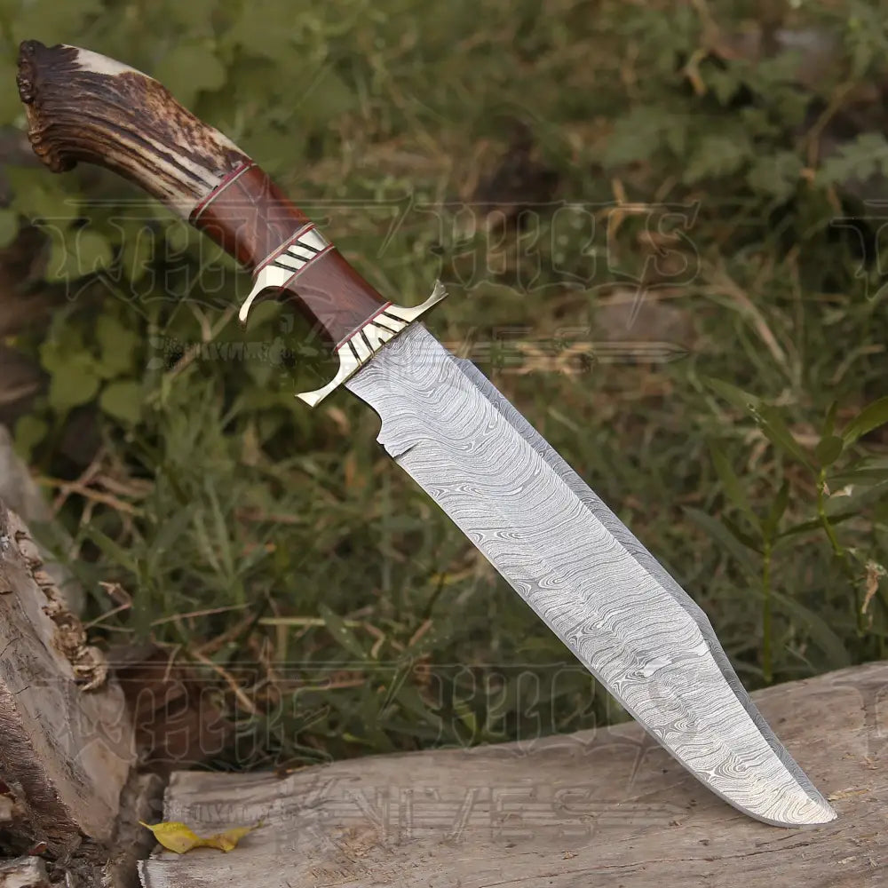 Handmade Forged Damascus Steel Hunting Bowie Rambo Knife Made In Usa With Deer Crown Stag Handle