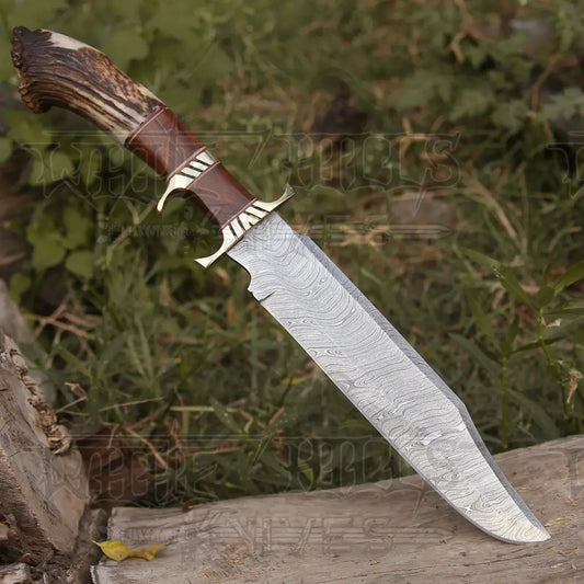Handmade Forged Damascus Steel Hunting Bowie Rambo Knife Made In Usa With Deer Crown Stag Handle