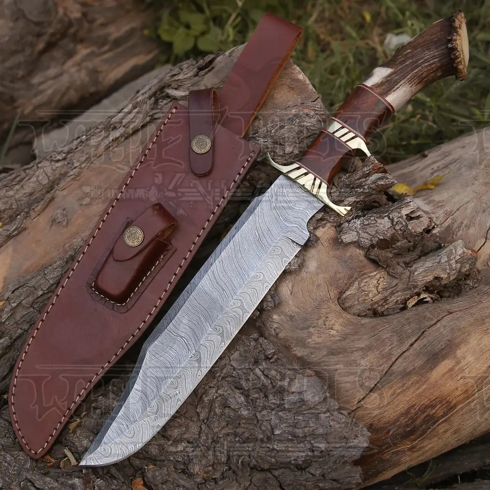Handmade Forged Damascus Steel Hunting Bowie Rambo Knife Made In Usa With Deer Crown Stag Handle