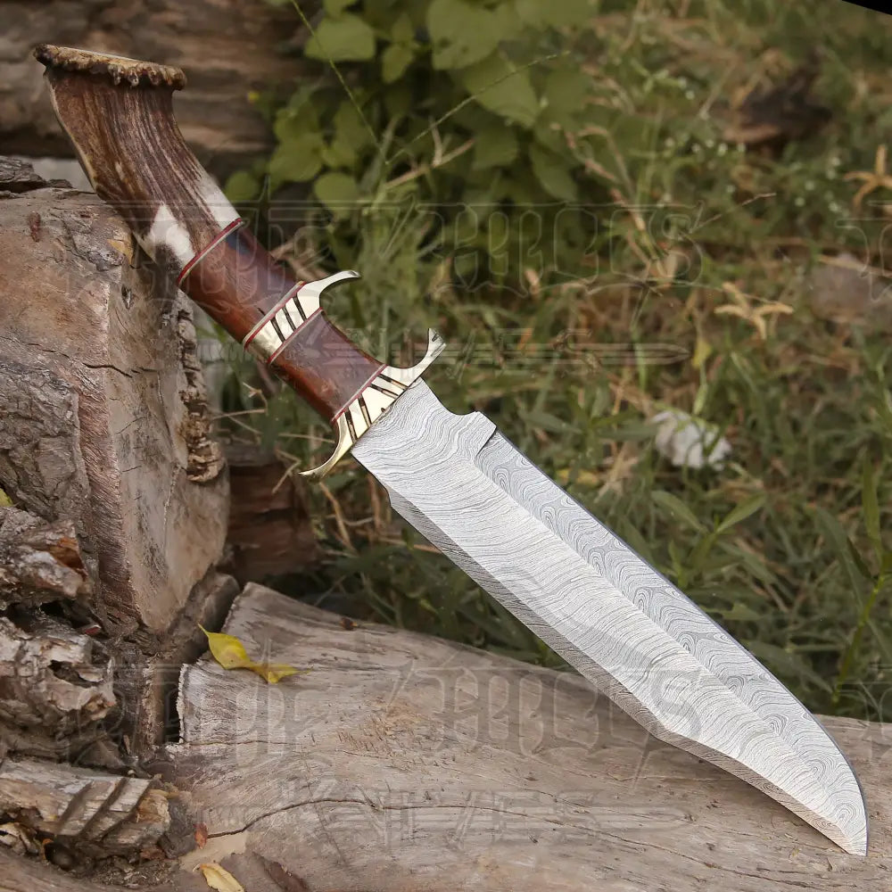 Handmade Forged Damascus Steel Hunting Bowie Rambo Knife Made In Usa With Deer Crown Stag Handle
