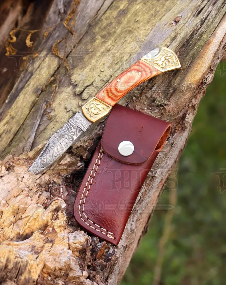 Handmade Forged Damascus Steel Hunting Folding Camping Pocket Knife With Stained Wood & Engraved