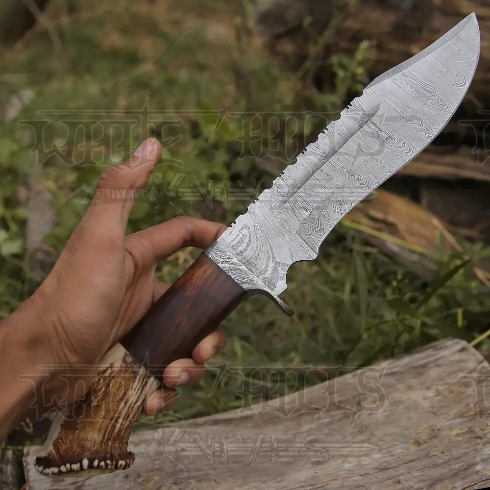 Handmade Forged Damascus Steel Hunting Knife Deer Stag Antler & Wood Handle Edc Wh 4404 Survival