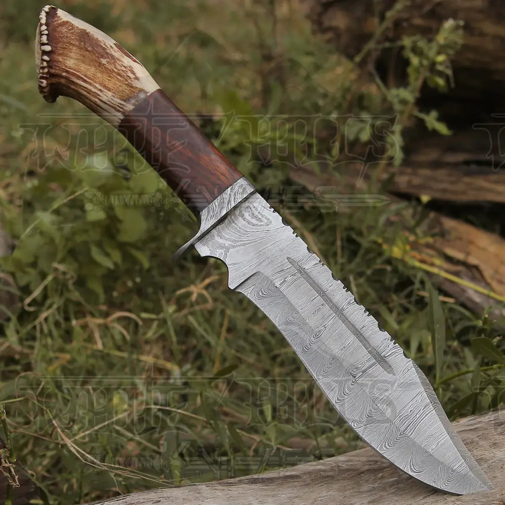 Handmade Forged Damascus Steel Hunting Knife Deer Stag Antler & Wood Handle Edc Wh 4404 Survival