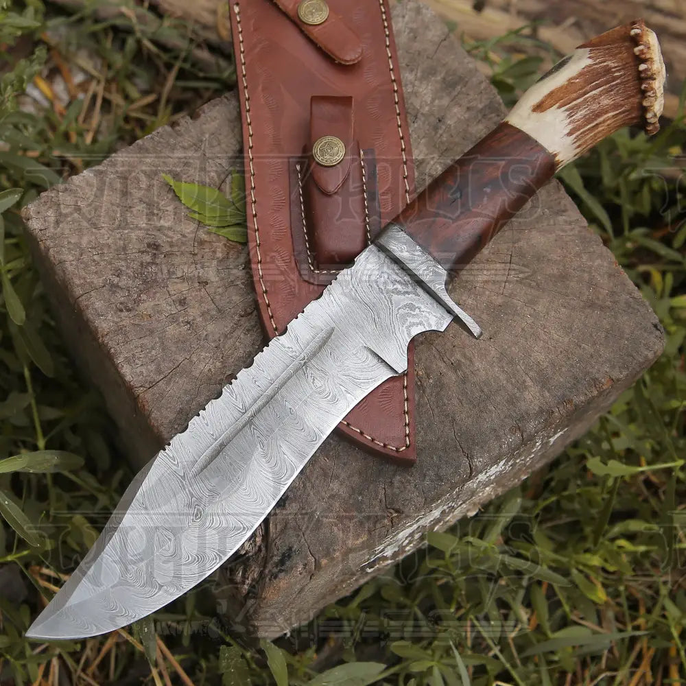 Handmade Forged Damascus Steel Hunting Knife Deer Stag Antler & Wood Handle Edc Wh 4404 Survival