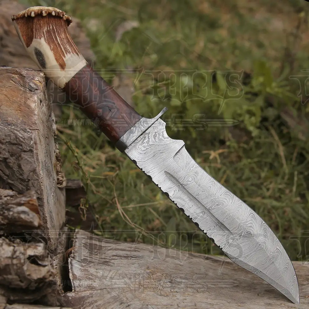 Handmade Forged Damascus Steel Hunting Knife Deer Stag Antler & Wood Handle Edc Wh 4404 Survival
