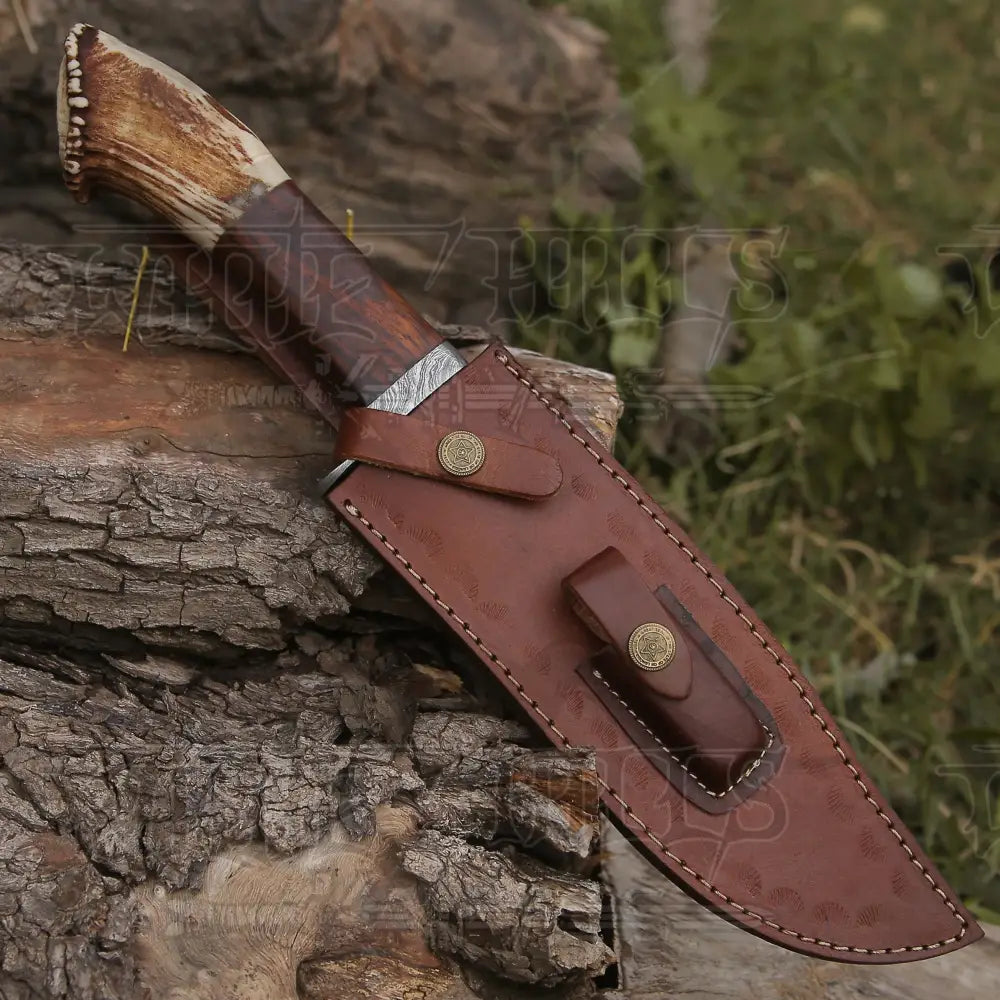 Handmade Forged Damascus Steel Hunting Knife Deer Stag Antler & Wood Handle Edc Wh 4404 Survival