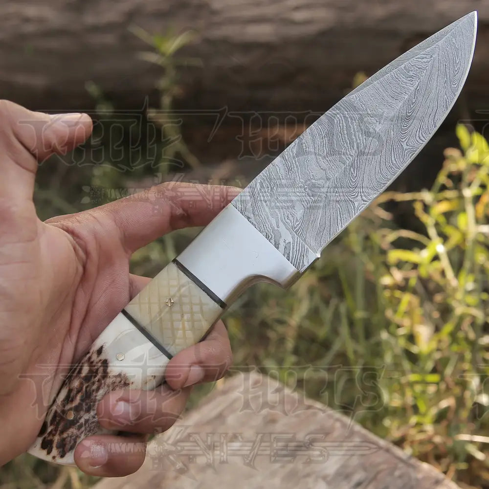 Handmade Forged Damascus Steel Hunting Skinner Knife Edc 9 -V3 With Stag Antler & Engraved Camel