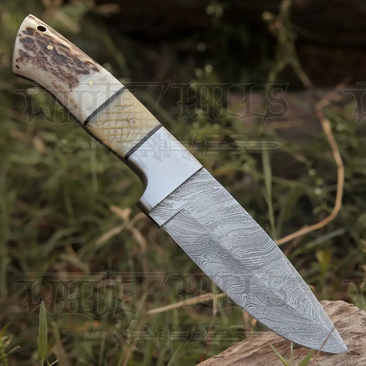 Handmade Forged Damascus Steel Hunting Skinner Knife Edc 9 -V3 With Stag Antler & Engraved Camel
