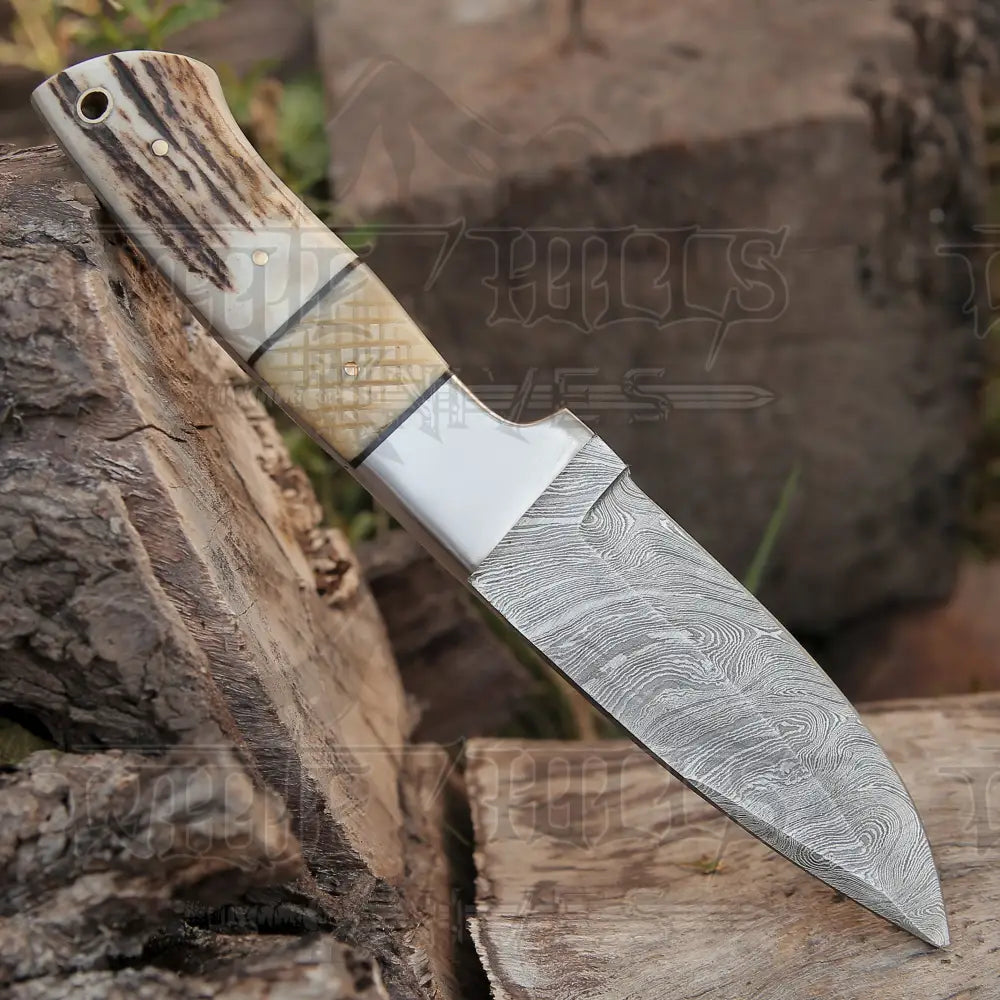 Handmade Forged Damascus Steel Hunting Skinner Knife Edc 9 -V3 With Stag Antler & Engraved Camel