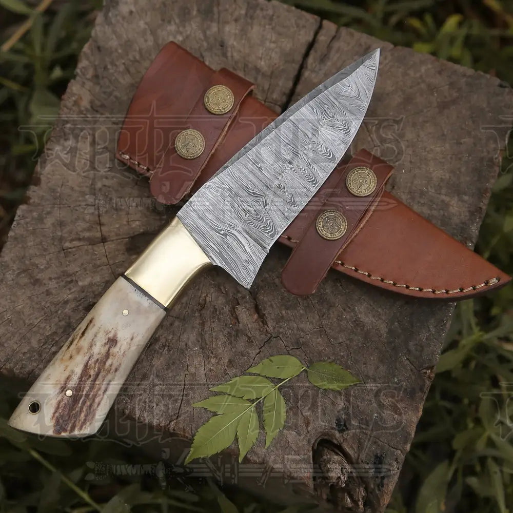 Handmade Forged Damascus Steel Hunting Skinner Knife Edc 9 V3 With Stag Antler & Engraved Camel Bone