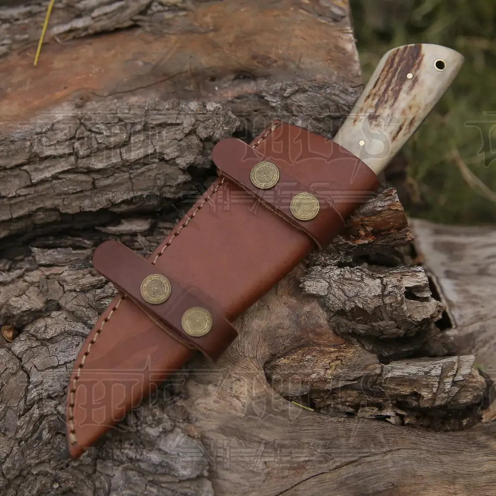 Handmade Forged Damascus Steel Hunting Skinner Knife Edc 9 V3 With Stag Antler & Engraved Camel Bone