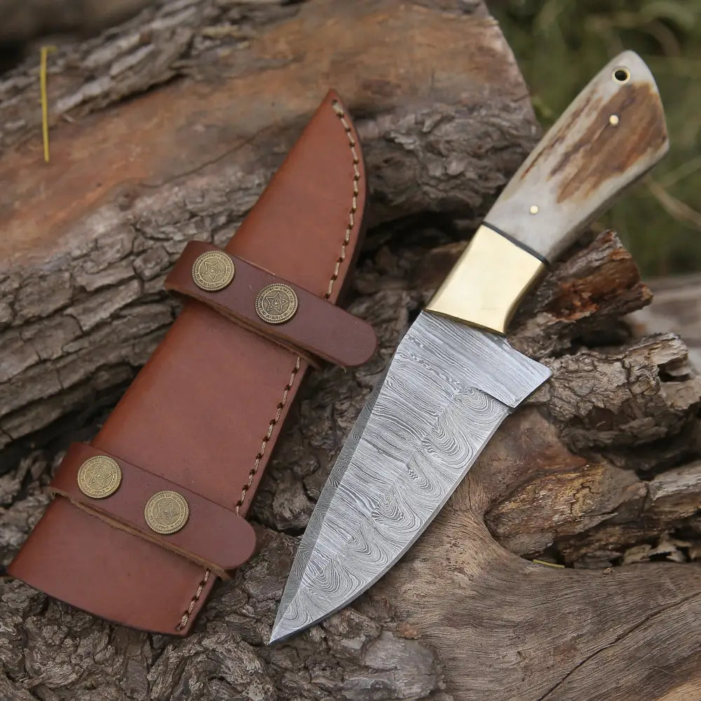 Handmade Forged Damascus Steel Hunting Skinner Knife Edc 9 V3 With Stag Antler & Engraved Camel Bone