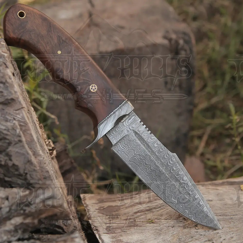 Handmade Hunting Bushcraft Knife Forged Damascus Steel Survival Edc 10 With Wallnut Wood Handle