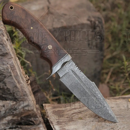 Handmade Hunting Bushcraft Knife Forged Damascus Steel Survival Edc 10 With Wallnut Wood Handle