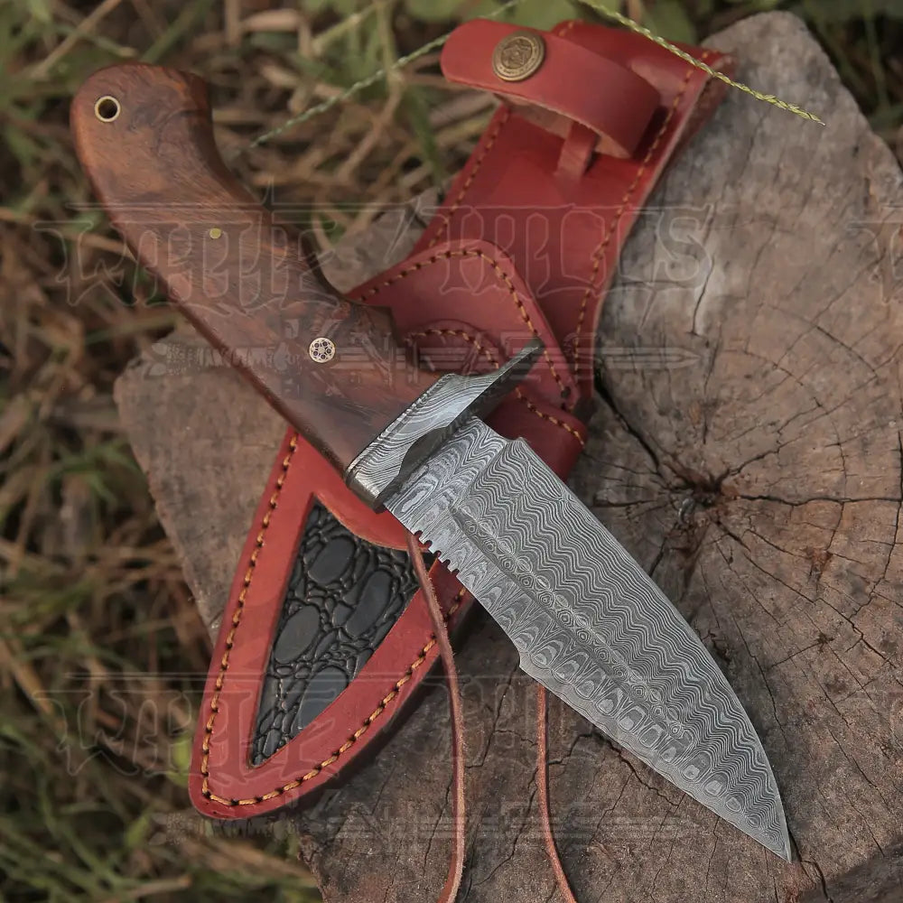 Handmade Hunting Bushcraft Knife Forged Damascus Steel Survival Edc 10 With Wallnut Wood Handle