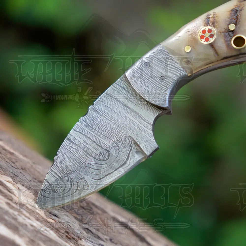 Handmade Mini Skinner Damascus Steel Knife - Ram Horn Handle 5.5’’ Full Tang