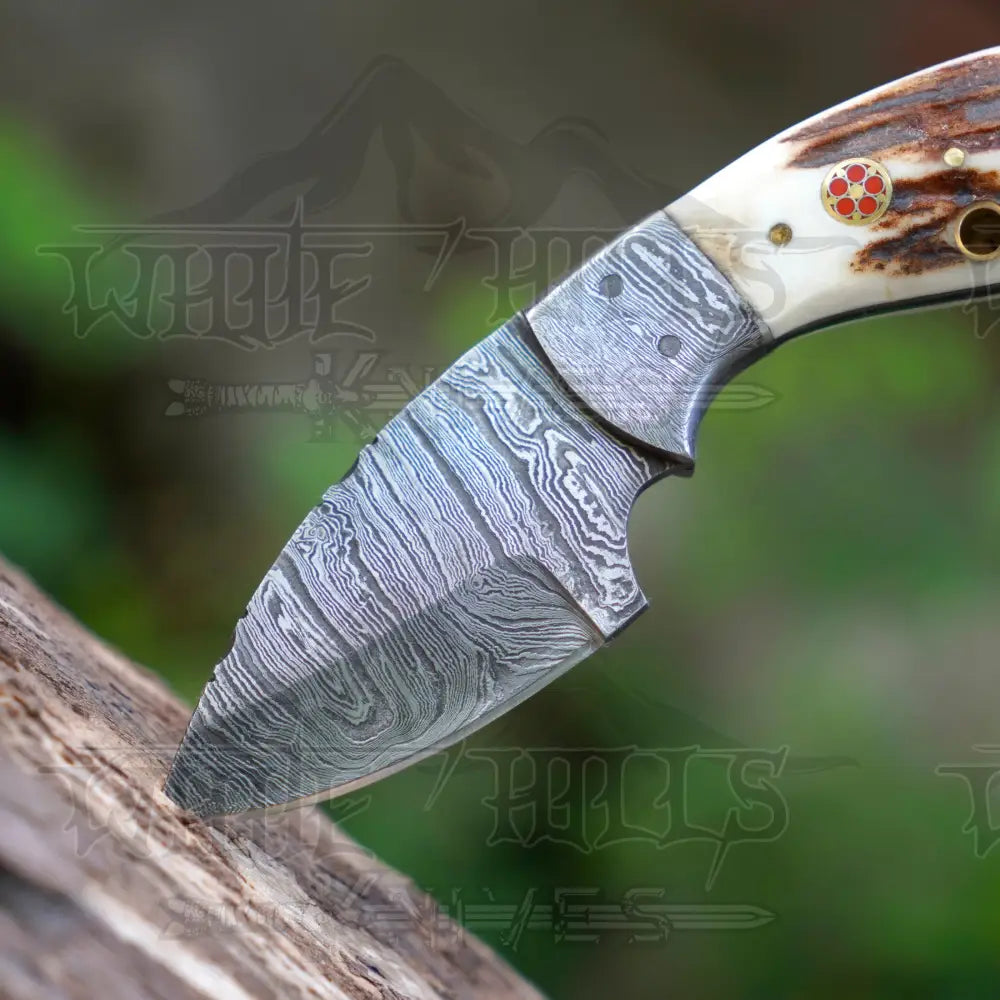 Handmade Mini Skinner Damascus Steel Knife - Stag Antler Handle 5.5’’ Full Tang