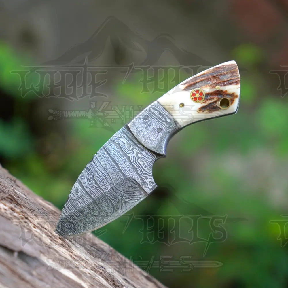 Handmade Mini Skinner Damascus Steel Knife - Stag Antler Handle 5.5’’ Full Tang