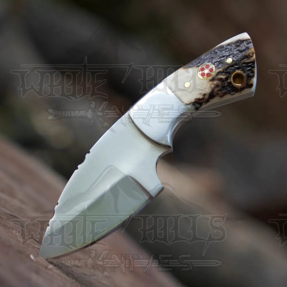 Handmade Mini Skinner Knife - Stag Antler Handle 5.5’’ Full Tang