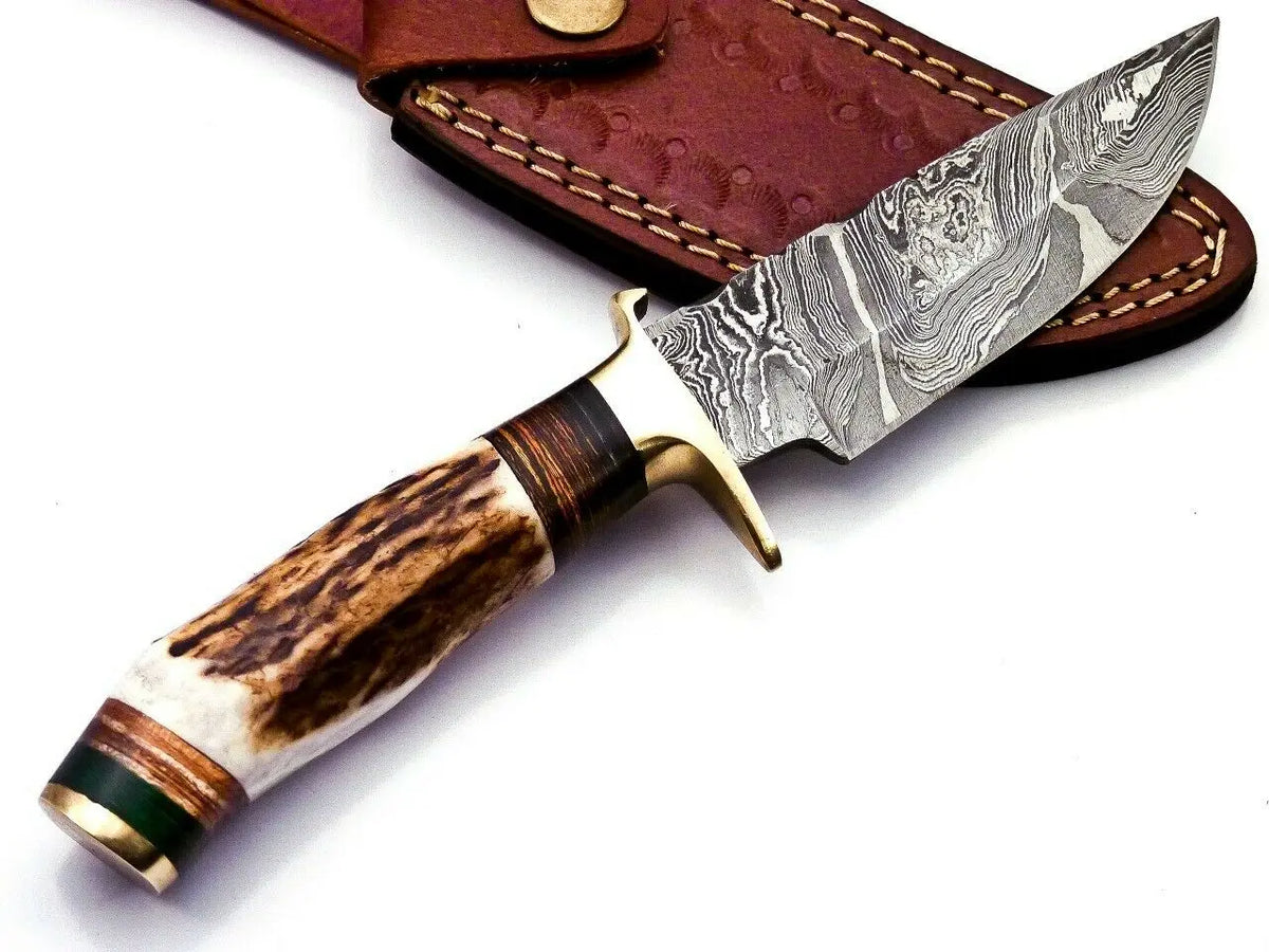 Custom Hand Forged Damascus Steel Hunting Brass Guard Knife& Stag Handle Wh 57 Knife