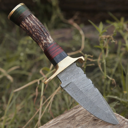 Custom Hand Forged Damascus Steel Hunting Brass Guard Knife& Stag Handle Wh 57 Knife